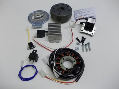VAPE Electronic Ignition 6V Single Cylinder