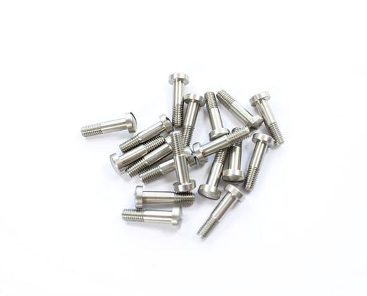Stainless Steel Lever Screw 1 Piece