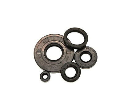Oil Seal 25x62x8mm